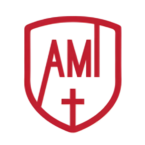 AMI International School
